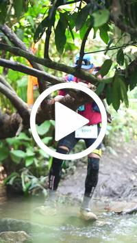 BIB:  <button type="button" onclick="openModal(27493479)" class="btn btn-primary btn-sm float-right" data-toggle="modal" data-target=".modal-high-quality">
                <i class="fa fa-download"></i> Download
                </button>